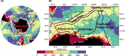 On the dynamics of the Ross Gyre: the relative importance of wind, buoyancy, eddies, and the Antarctic Circumpolar Current